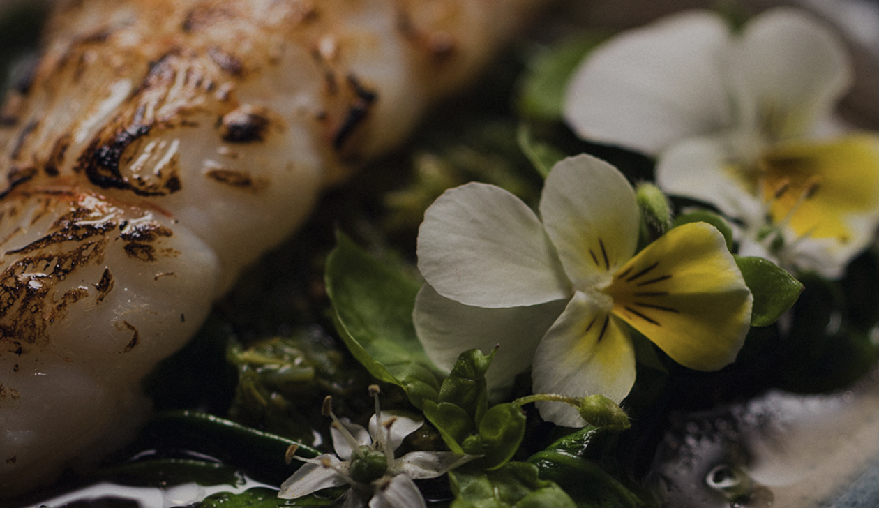 Nordic fine dining — grilled fish with edible flowers, Gothenburg style