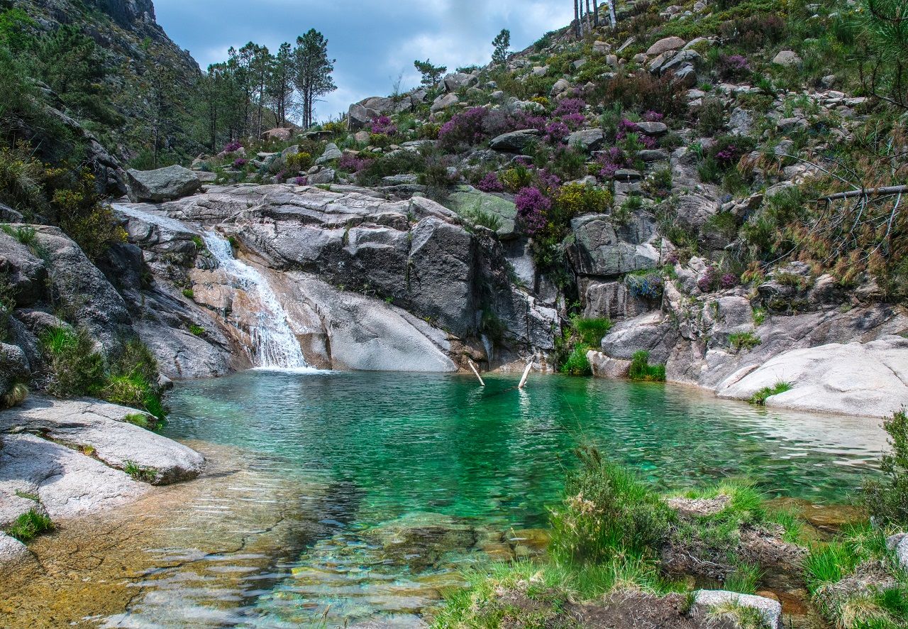 Emerald natural pool in Peneda-Gerês granite — waterfall and pink heather